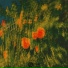 Zivy 唐子惠, 戴威Fogisle