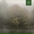 Wiz Key, Beats for Trees