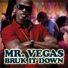 Mr. Vegas