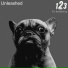 123studio