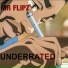 MR FLIPZ