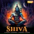 Vikas Bedi feat. Aashish Sharma