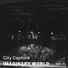 City Capture