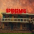 SPIDERWIG