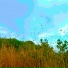 Плотию уснув. Музыка Екатерины Заборонок