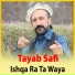 Tayab Safi