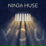 Ninja Huse