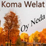 Koma Welat