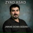 Zyad Asad