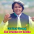 Gul Rauf Shawqi