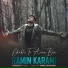 Ramin Karami
