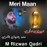 M Rizwan Qadri