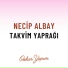 Necip Albay