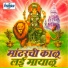Hanumant Dolas