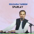 Gulzada Tareen