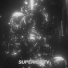 MXFFXN, QWERTYMANE