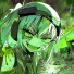 KNSRK