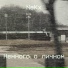 NeKx