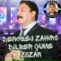 Dengbej Zahiro