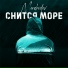MOREHODOV