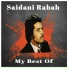 Saidani Rabah