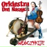 Orkiestra Dni Naszych