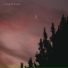 Calm Sounds Collective