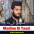 Rahil Mubarak