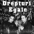 Drepturi Egale