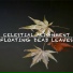 Celestial Alignment