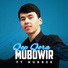 Mubowir