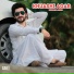 Hussain Aseer