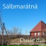 Sálbmarátnát