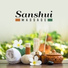 Pure Spa Massage Music