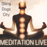 Slang Dogs City