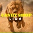 Candy Shop