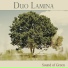 Duo Lamina