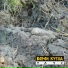 Ворон Кутха [http: musvkontakte.ru]