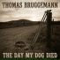 Thomas Bruggemann