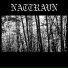 Nattravn