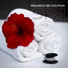 Beauty Spa Music Collection