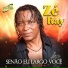 Zé Ray