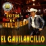 Saul Viera El Gavilancillo