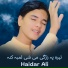 Haidar Ali