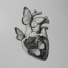 NoCryHeart