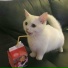 Smokend