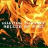Celestial Alignment