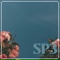 SP3 Project