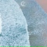 柒琴留韵