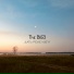 The Bird